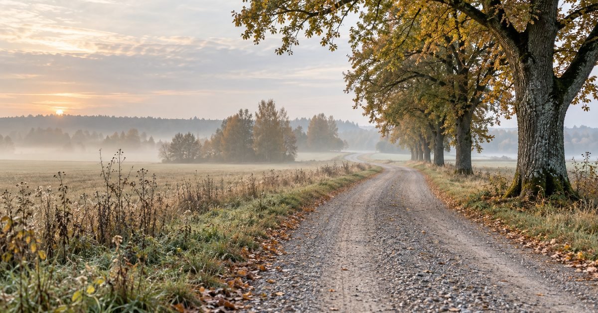 Kaimo kelias tarp rudenėjančių laukų ir medžių eilės