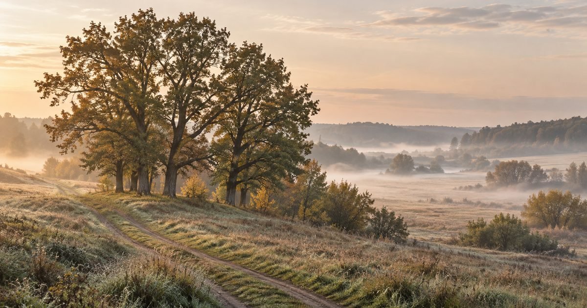 Nevėžio slėnio pievos ir ąžuolų giraitė prie lauko kelio rudens rytą