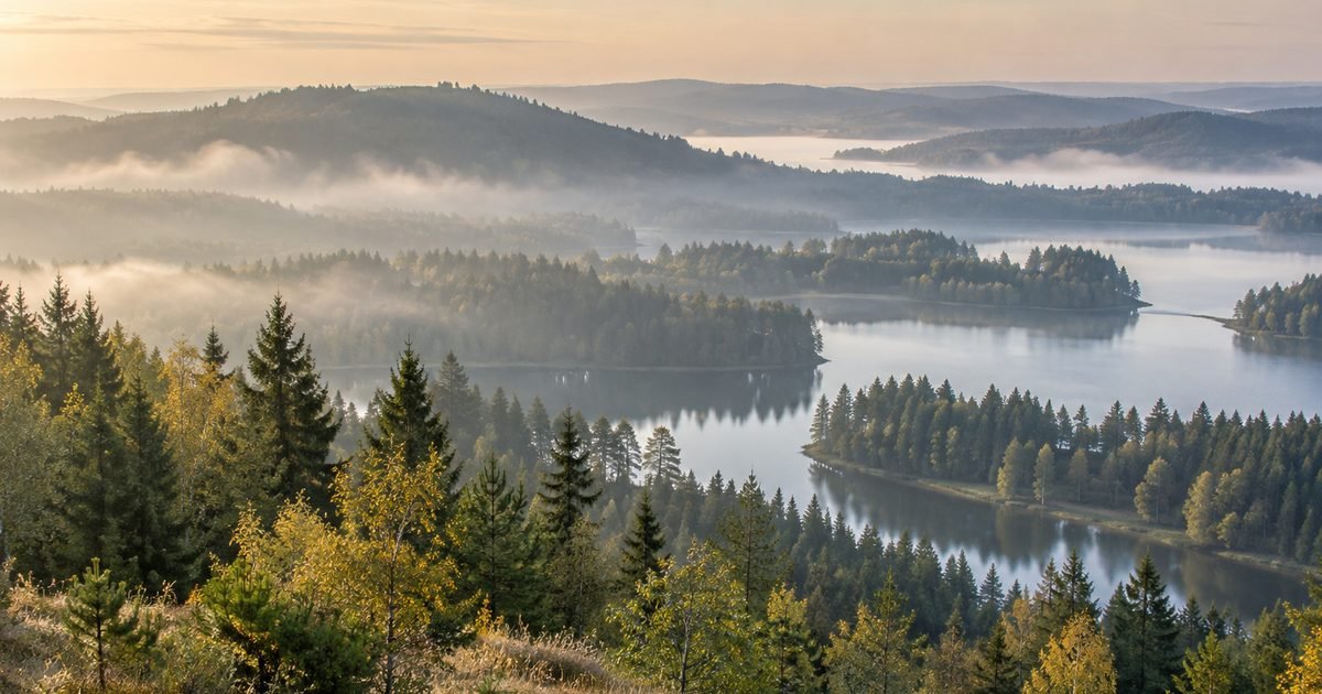 Kalvos su ežerais ir eglynu ryto rūke