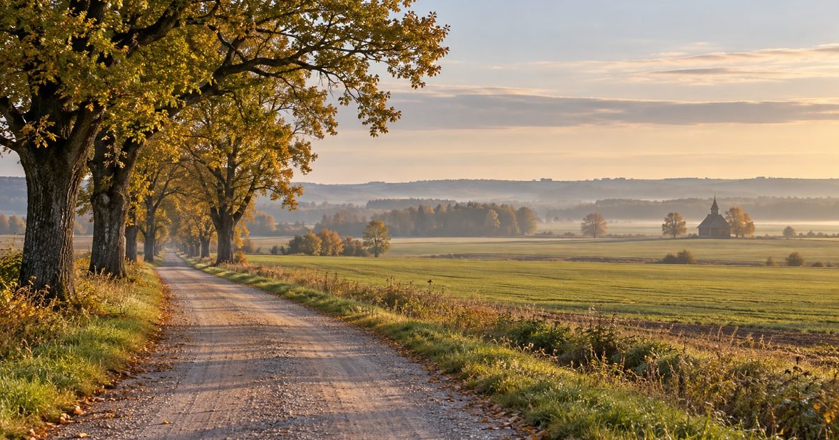 Lygumų laukai ir senų medžių eilė prie kaimo kelio rudens rytą